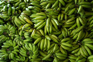 Heap of green bananas, Fresh green banana in the market