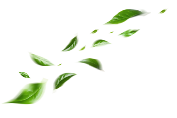 Green Floating Leaves Flying Leaves Green Leaf Dancing, Air Purifier Atmosphere Simple Main Picture.
