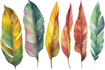 colordul palm leaves on white background, AI Generative AI