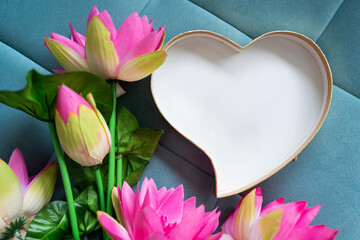 pink lotus flower with heart shape gift box