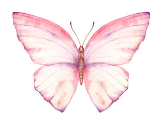 Vibrant hand painted watercolor butterfly illustration. Design for the decoration of postcards, invitations, greeting cards, birthday, souvenirs, weddings. - 598376382
