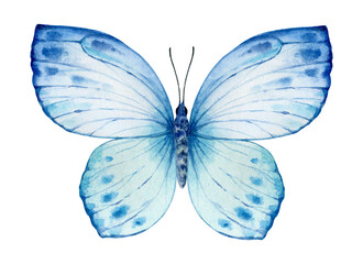 Vibrant hand painted watercolor butterfly illustration. Design for the decoration of postcards, invitations, greeting cards, birthday, souvenirs, weddings. - 598376925