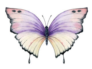 Vibrant hand painted watercolor butterfly illustration. Design for the decoration of postcards, invitations, greeting cards, birthday, souvenirs, weddings.