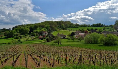 Fototapeta na wymiar Village viticole en Bourgogne..