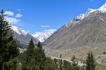 Beautiful Landscape of Naltar Valley in Northern Pakistan