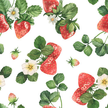 Watercolor had drawn strawberry illustration Seamless pattern