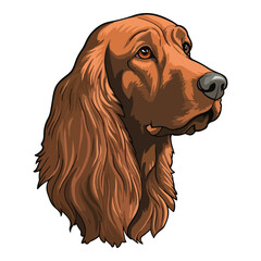 Irish Setter Flat Icon Isolated On White Background