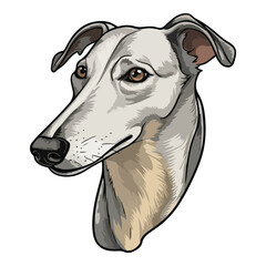 Greyhound Dog Flat Icon Isolated On White Background
