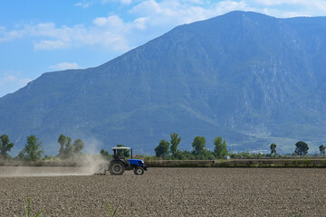 Blue Tractor Spraying Vineyard in Sunny Day