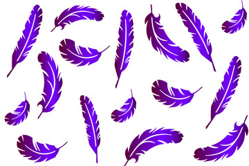 Fototapeta na wymiar Vector collection of feathers, beautiful violet feathers of different shapes scattered randomly on a white background