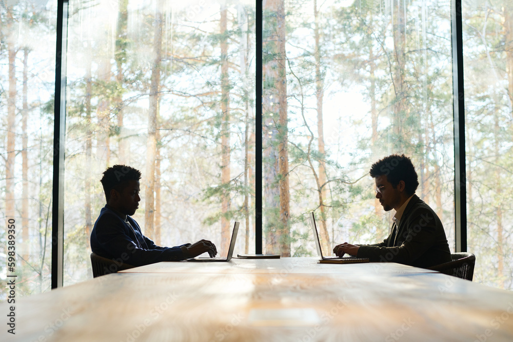 Aufkleber Outlines of two young intercultural white collar workers typing on laptop keyboard while sitting in front of one another against office window