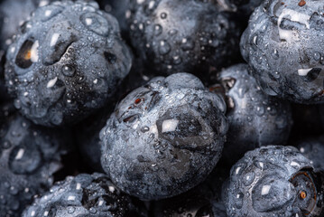 Blueberry fruit in close-up. Ripe fruit, blueberry berries isolated. Background with fruits.