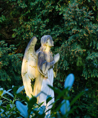 Betender Engel  auf einem Friedhof in Trier