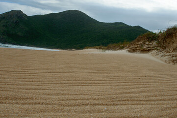 Collection of photos with theme beach