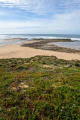 Collection of photos with theme beach