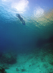 Fototapeta na wymiar Diving in the crystal clear waters of the Caribbean Sea