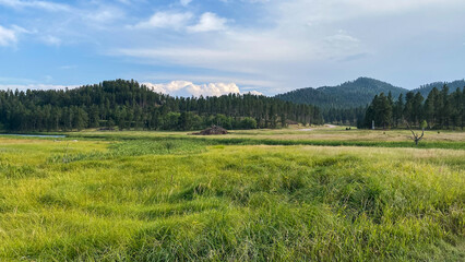 Fototapeta premium Stockade Lake in Custer State Park