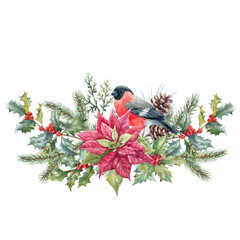 Beautiful christmas composition with watercolor hand drawn bullfinch bird with fir cones branches and holly with red berries. Stock clip art illustration.