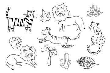 Set of big cat line doodle wild vector drawings. Predators african and safari animals hand drawings pack. illustrations EPS