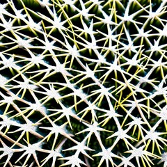 A prickly and sharp texture with thorns and jagged rocks2, Generative AI