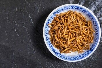 Flour worm with chili. Fried salty worms. Baked worms. Healthy diet food.