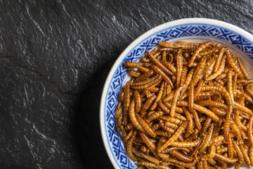 Flour worm with chili. Fried salty worms. Baked worms. Healthy diet food.