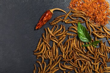 Flour worm with chili. Fried salty worms. Baked worms. Healthy diet food.