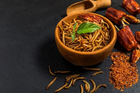 Flour worm with chili. Fried salty worms. Baked worms. Healthy diet food.