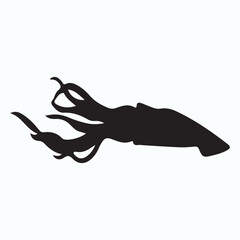 Cuttlefish silhouettes and icons. Black flat color simple elegant Cuttlefish animal vector and illustration.