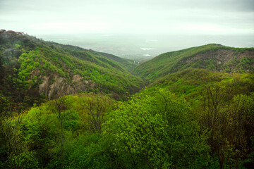 ather in Kakheti region, Georgia. Alazani valley in spring, beautiful landscape. 