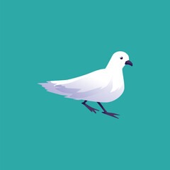 Snow petrel bird drawing, flat vector illustration isolated on green background.