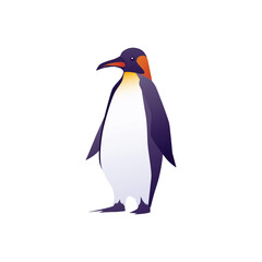 Emperor penguin, flat vector illustration isolated on white background.