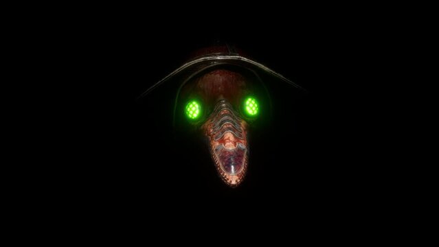 Plague Doctor VJ Loop &ndash; terrible plague doctor with crow-like skull come here from medieval Europe to cure you! This motion graphics is perfect to use in your next halloween and gothic parties 