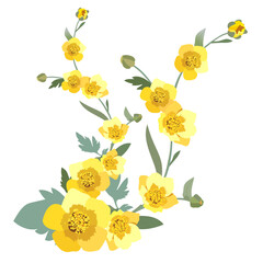 yellow bright spring flowers element for design and decor on a white background