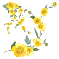 Fototapeten yellow bright spring flowers element for design and decor on a white background © Nataliya Zotova