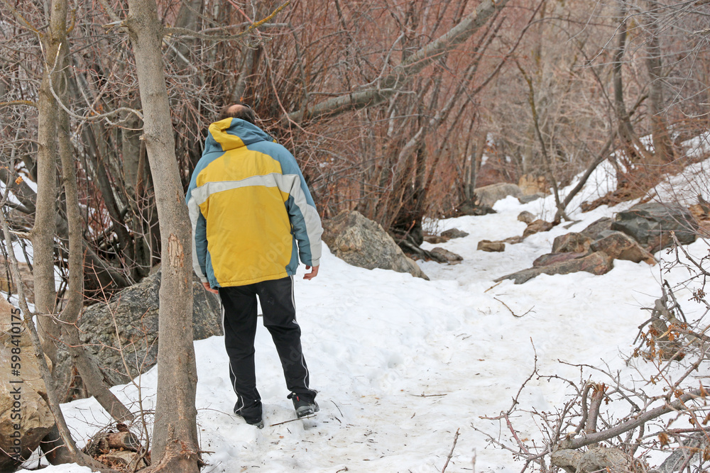 Wall mural Hiker on the Waterfall Canyon Trail, Ogden, Utah	