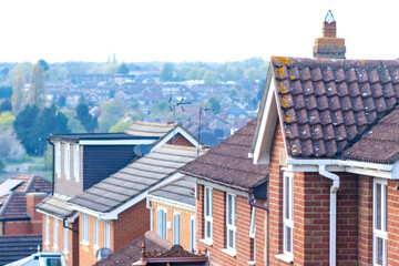 Urban Area Rooftops