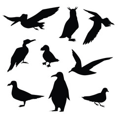 Sea birds silhouettes, flat vector illustration isolated on white background.