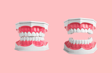 Open and closed jaws, teeth model on pink background