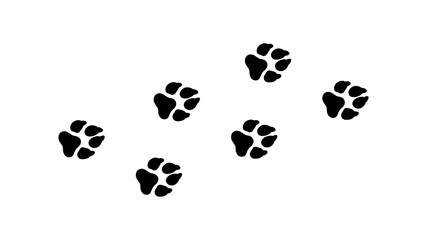 Fototapeta na wymiar dog footprints on white background