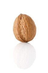 Walnut isolated on white background. Close-up.