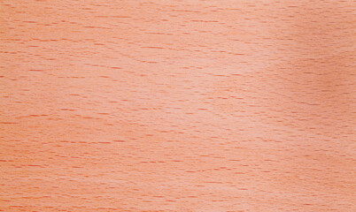 Fototapeta premium Wood Pattern Background.