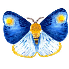 Hand painted watercolor bright textured blue butterfly