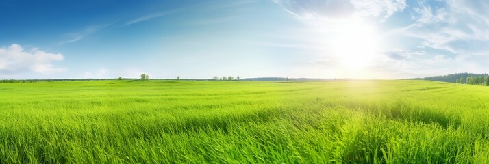 Fototapeta na wymiar Green beautiful panoramic natural landscape of a green_field in beautiful style on white background. Summer vacation. Spring season. Natural background. Travel background. Natural beauty.