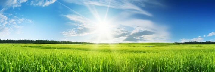 Green beautiful panoramic natural landscape of a green field in beautiful style on white background. Summer vacation. Spring season. Natural background. Travel background. Natural beauty.