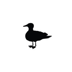 Standing seagull black silhouette monochrome vector illustration isolated.