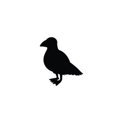 Seagull or gull bird black silhouette monochrome vector illustration isolated.