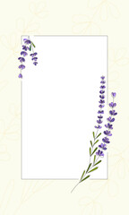 Hand drawn Lavender branches in a vertical Border. Frame on botanical texture background. Template for Wedding invitations, cards, postcards, logo, posters