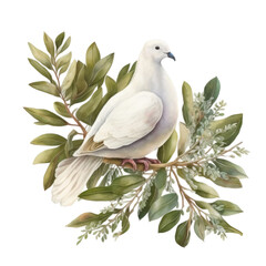 Watercolor white dove and olive branche Illustration AI Generative.