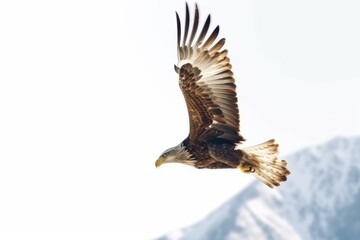 Obraz premium an eagle soaring in front of a majestic mountain landscape. Generative AI